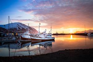 Midnight sun at the harbour