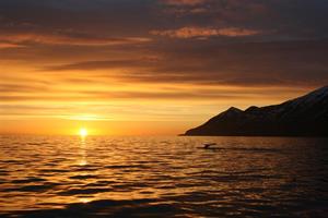 Midnight sun