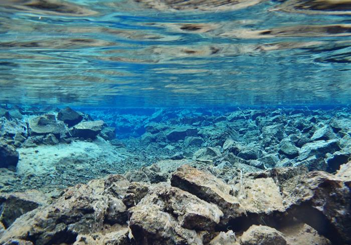 underwater2.jpg Underwater in Silfra