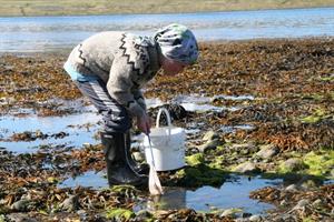 It can be exciting to explore the shore