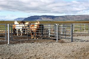 Horse riding tours are available at Staðarhús