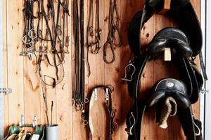 At the stables