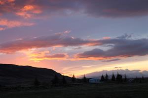Evening sun