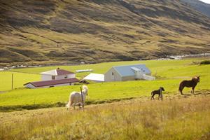 Óbyggðasetrið