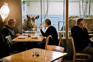 Vogafjós cowshed café
