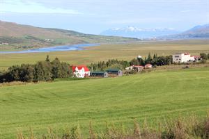 Silva Holiday Homes