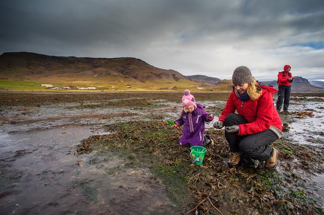 Activities in the Icelandic countryside Activities in the Icelandic countryside
