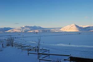 Brunnhóll að vetri til