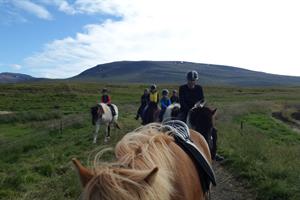 Horse riding tours are available at Stóra-Ásgeirsá