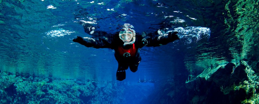 dive.jpg dive.jpg