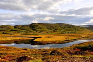 Strandir in Hólamvík