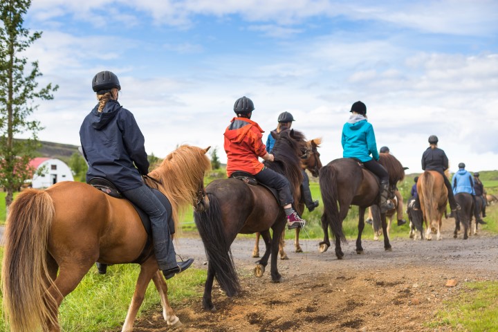 Horse riding in Iceland Horse riding in Iceland