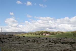 Dalshöfði
