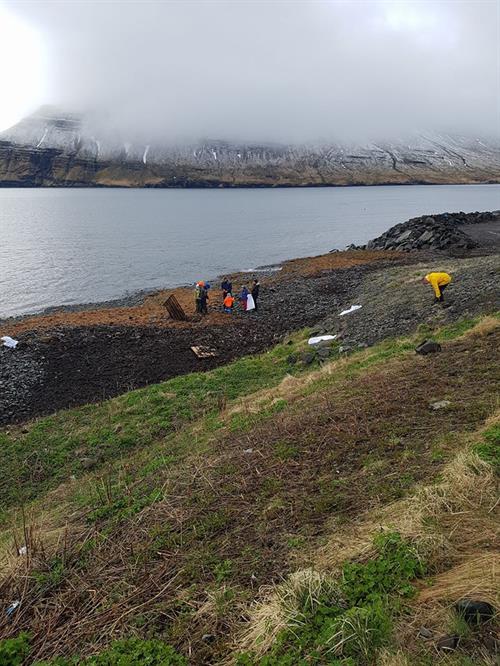 Plogging in Iceland Plogging in Iceland