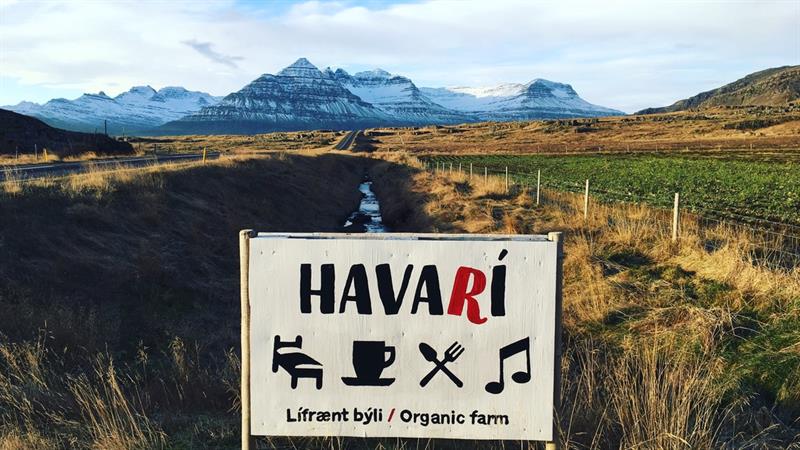 Havarí Organic Farm in Berufjörður Havarí Organic Farm in Berufjörður