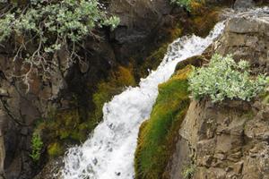 Hidden Waterfalls