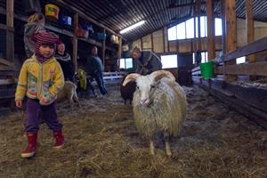 Fun and Educational Farm Visit