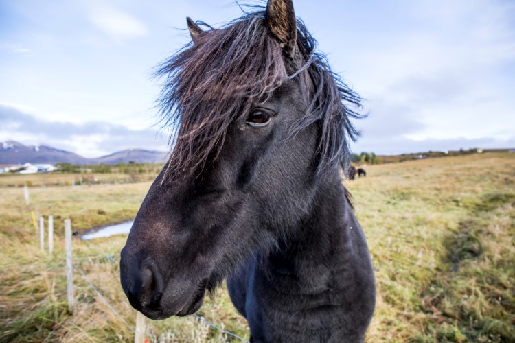Do's and Don'ts of Iceland Do's and Don'ts of Iceland