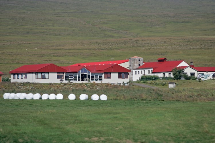 Do's and Don'ts of Iceland Do's and Don'ts of Iceland
