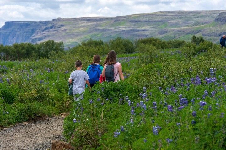 How to be a responsible tourist in Iceland How to be a responsible tourist in Iceland