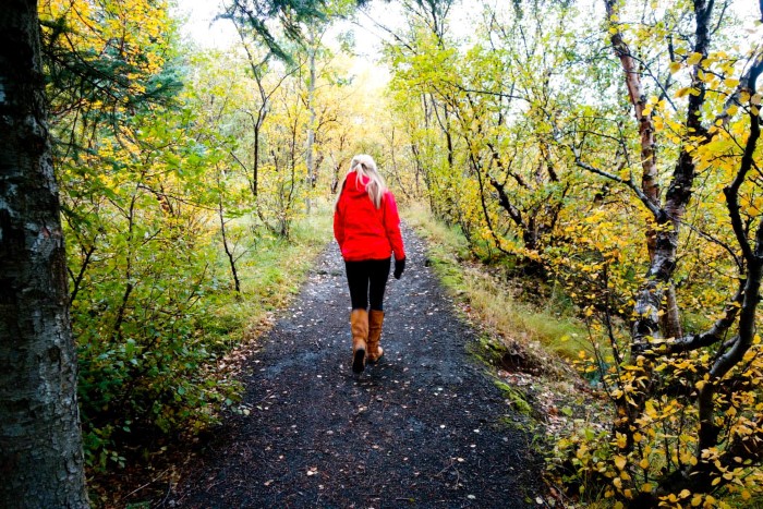 Walking in an Icelandic forest Walking in an Icelandic forest
