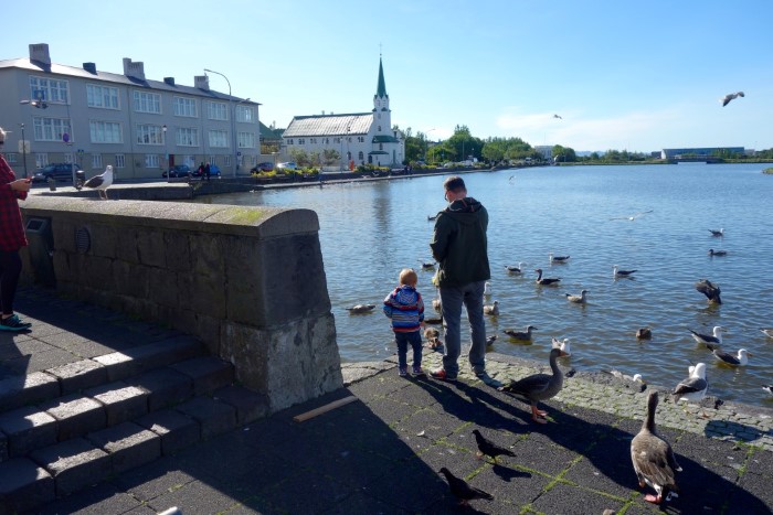 Feeding the ducks Feeding the ducks