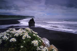 Reynisdrangar cliffs
