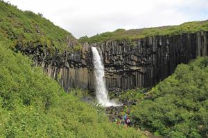 Svartifoss Waterfall in Skaftafell