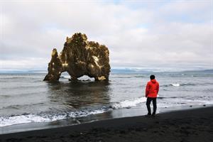 Looking at Hvítserkur Cliff