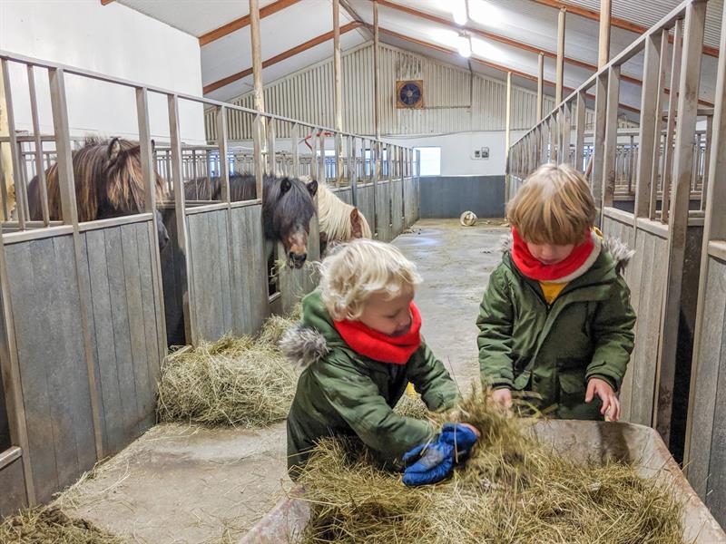 feeding-horses-farmstay_travelynnfamily.jpg feeding-horses-farmstay_travelynnfamily.jpg