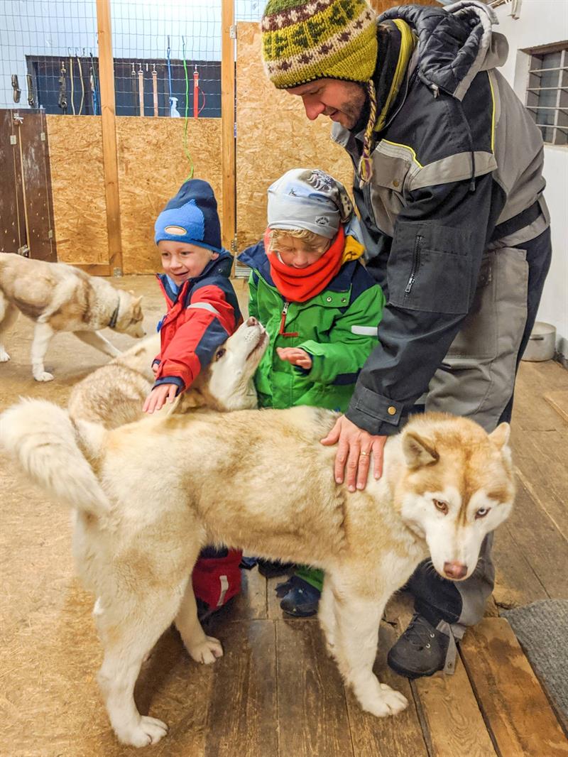 meeting-huskies-NIceland_travelynnfamily.jpg meeting-huskies-NIceland_travelynnfamily.jpg