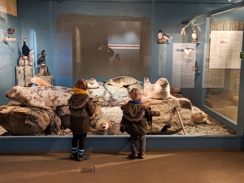 seal-centre_travelynnfamily.jpg seal-centre_travelynnfamily.jpg