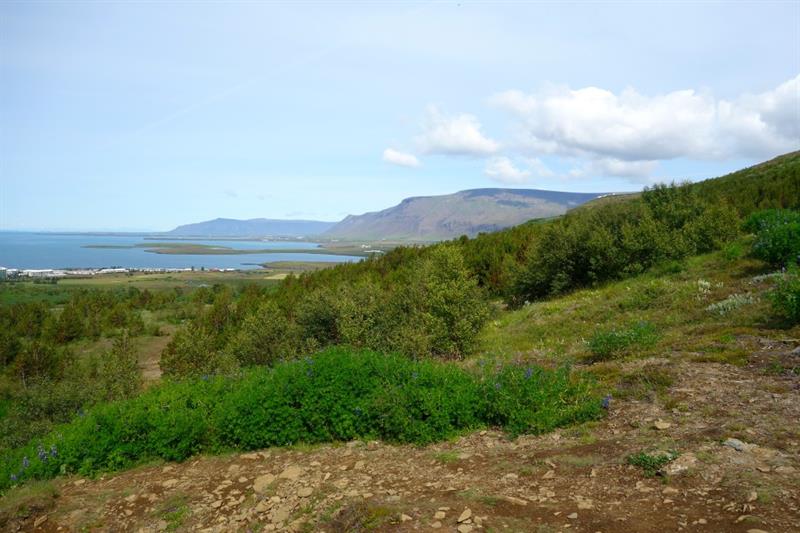 8. Úlfarsfell.jpg Úlfarsfell