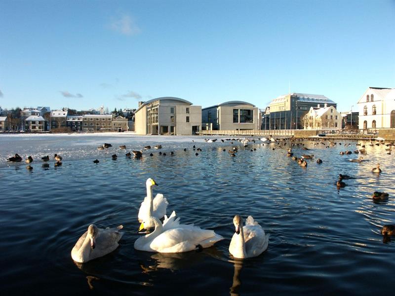14. Tjörnin Pond in Reykjavík.jpg Tjörnin Pond in Reykjavík