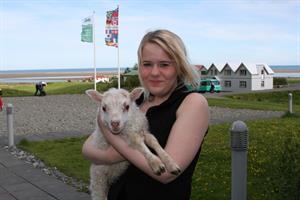 Lamb