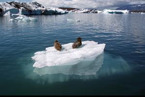 Jökulsárlón Glacier Lagoon