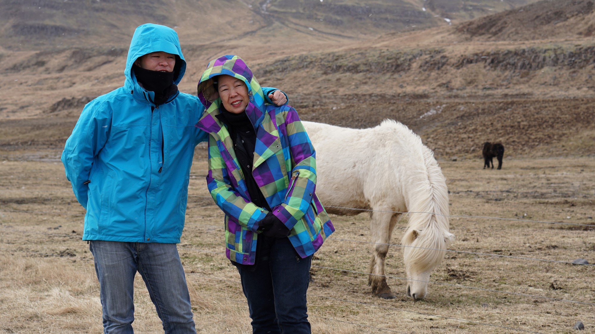 Mother and son with Icelandic horse