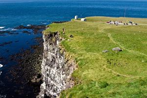Látrabjarg bird cliffs