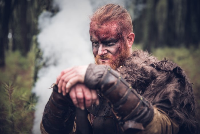 Iceland Viking Iceland Viking