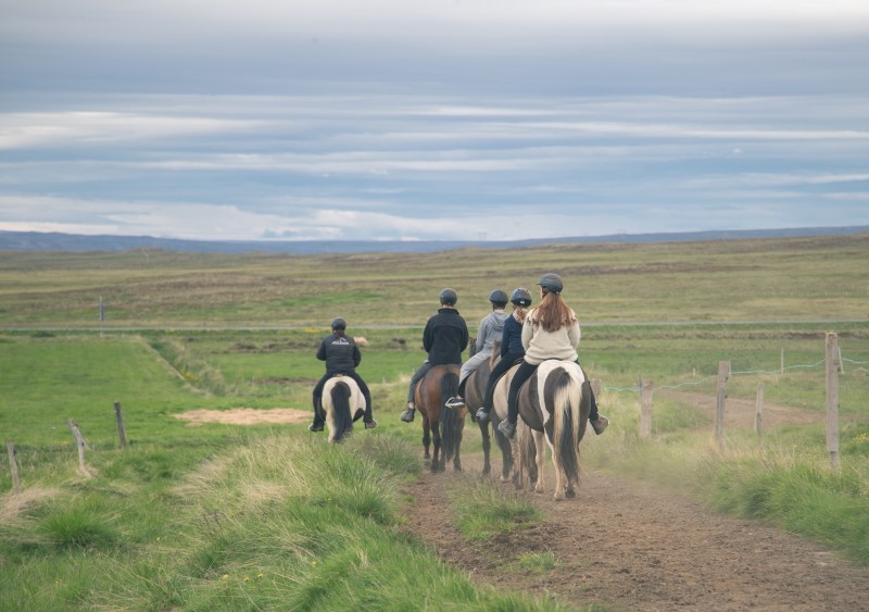 Horseback Riding In The Countryside Horseback Riding In The Countryside