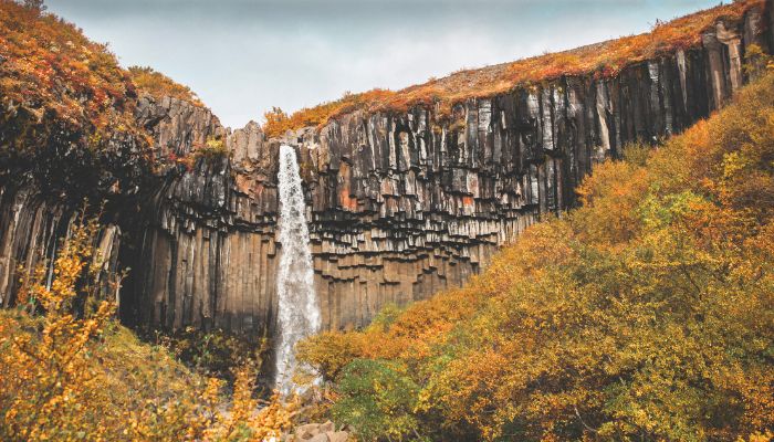 Svartifoss Waterfall Autumn Svartifoss Waterfall Autumn