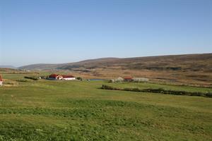 Narfastaðir