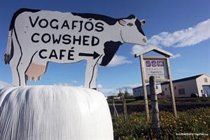 Vogafjós cowshed café
