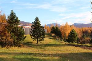 Eyvindará