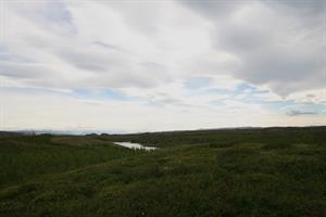 The view from the cottages