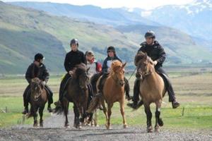 Horse rental