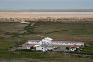 Breiðavík by Látrabjarg