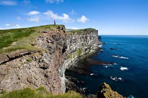 Látrabjarg cliff