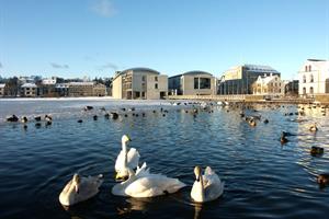 Tjörnin, central Reykjavík