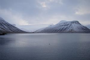 Westfjords mountain view  